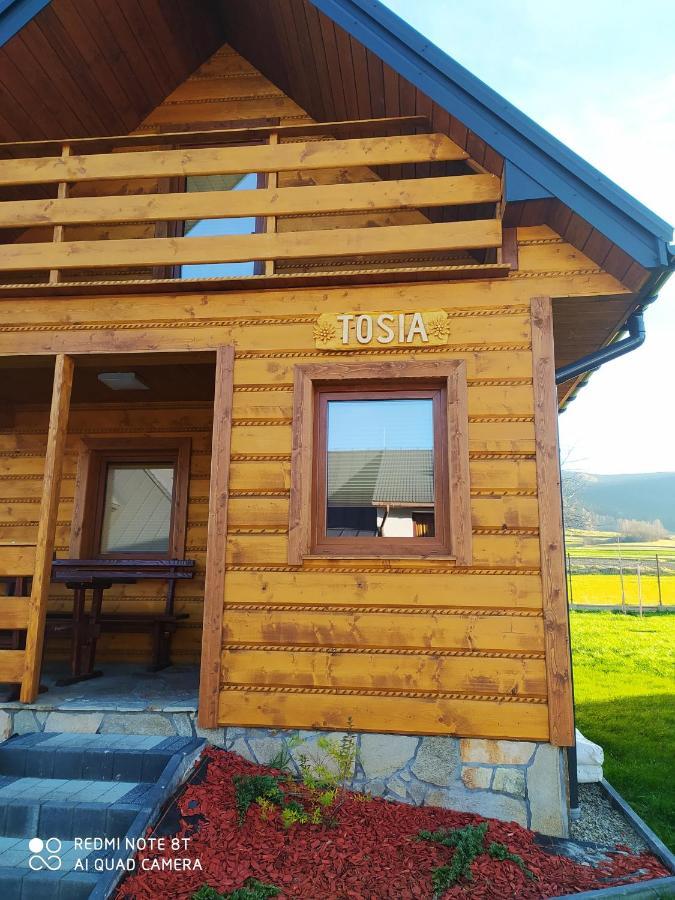 Zajazd ,,Rys" Dobra (Limanowa) Exterior foto